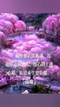跨境电商加速跑 逆势赋能稳外贸